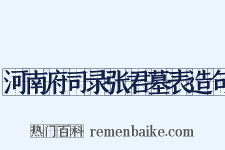 河南府司录张君墓表造句是什么意思的图片